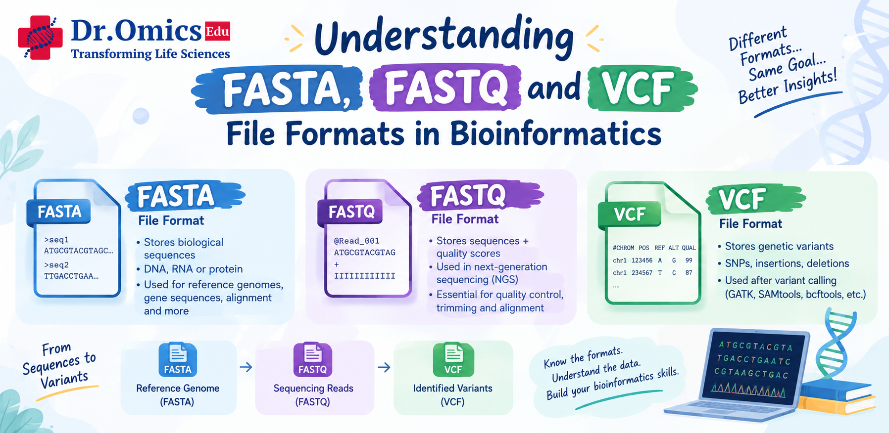 Understanding FASTA, FASTQ and VCF File Formats in Bioinformatics