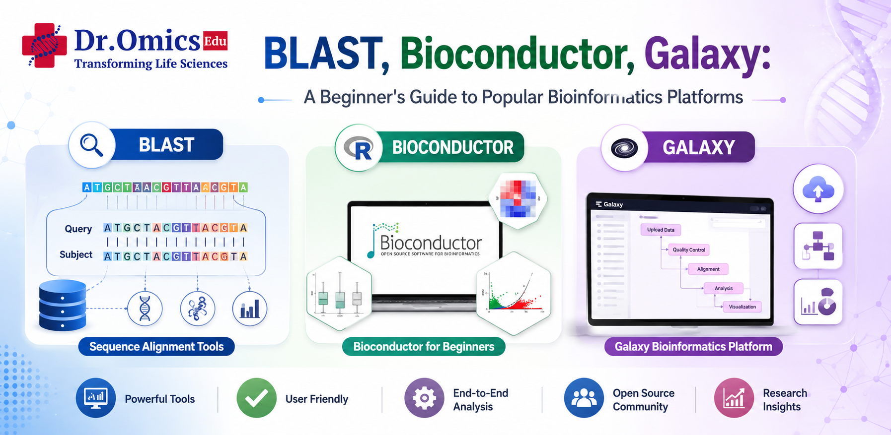 BLAST, Bioconductor, Galaxy: A Beginner's Guide to Popular Bioinformatics Platforms