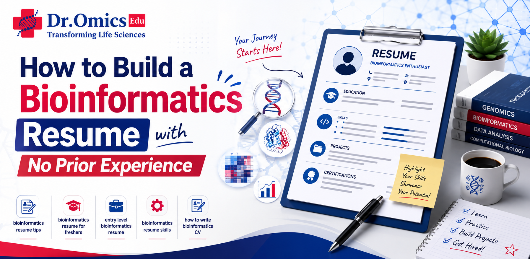 How to Build a Bioinformatics Resume with No Prior Experience