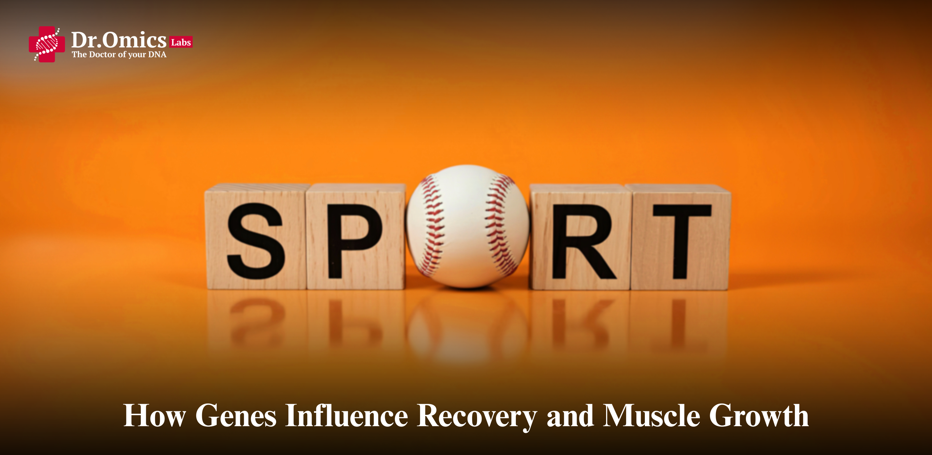 How Genes Influence Recovery and Muscle Growth