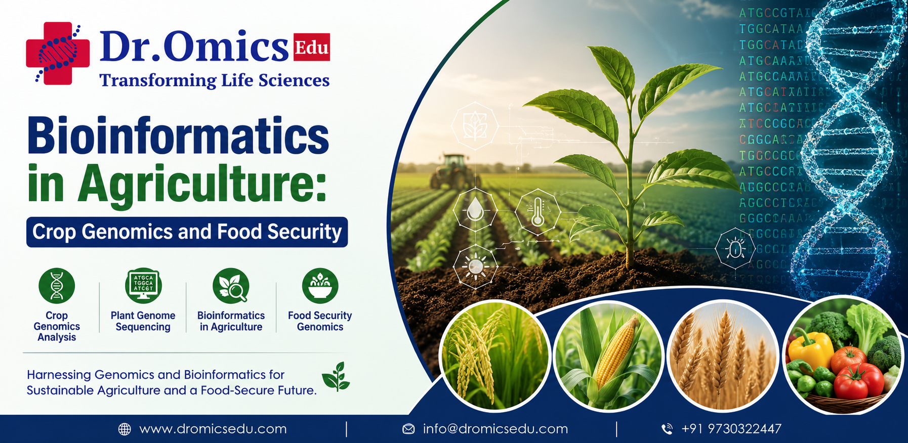 Bioinformatics in Agriculture: Crop Genomics and Food Security