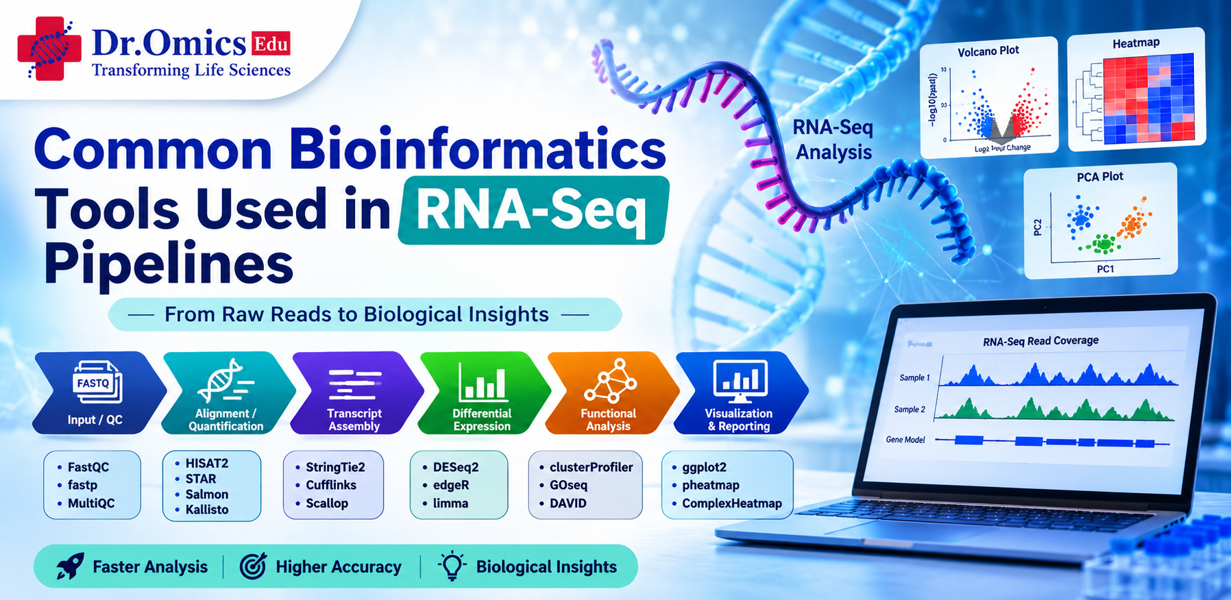 Common Bioinformatics Tools Used in RNA-Seq Pipelines
