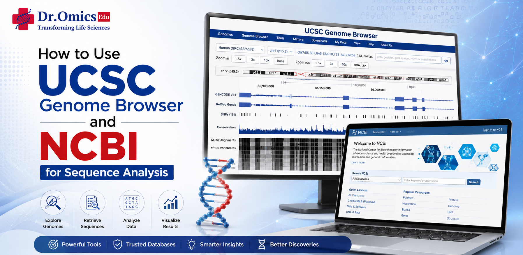 How to Use UCSC Genome Browser and NCBI for Sequence Analysis