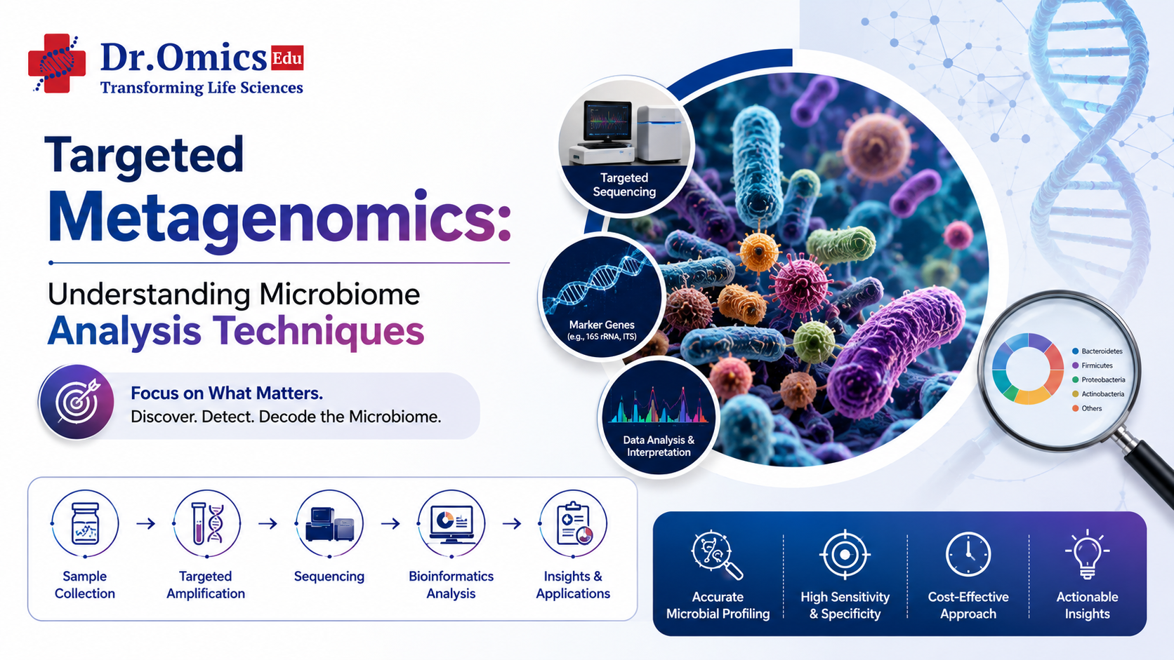 Targeted Metagenomics: Understanding Microbiome Analysis Techniques