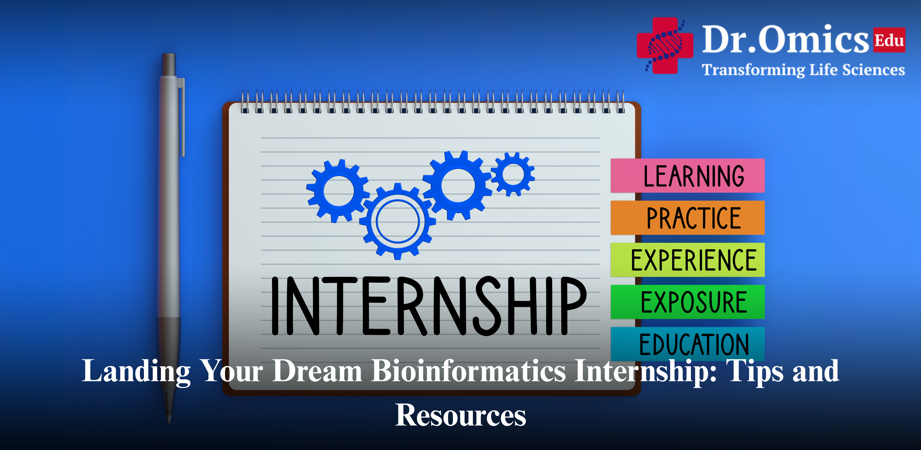 Landing Your Dream Bioinformatics Internship: Tips and Resources