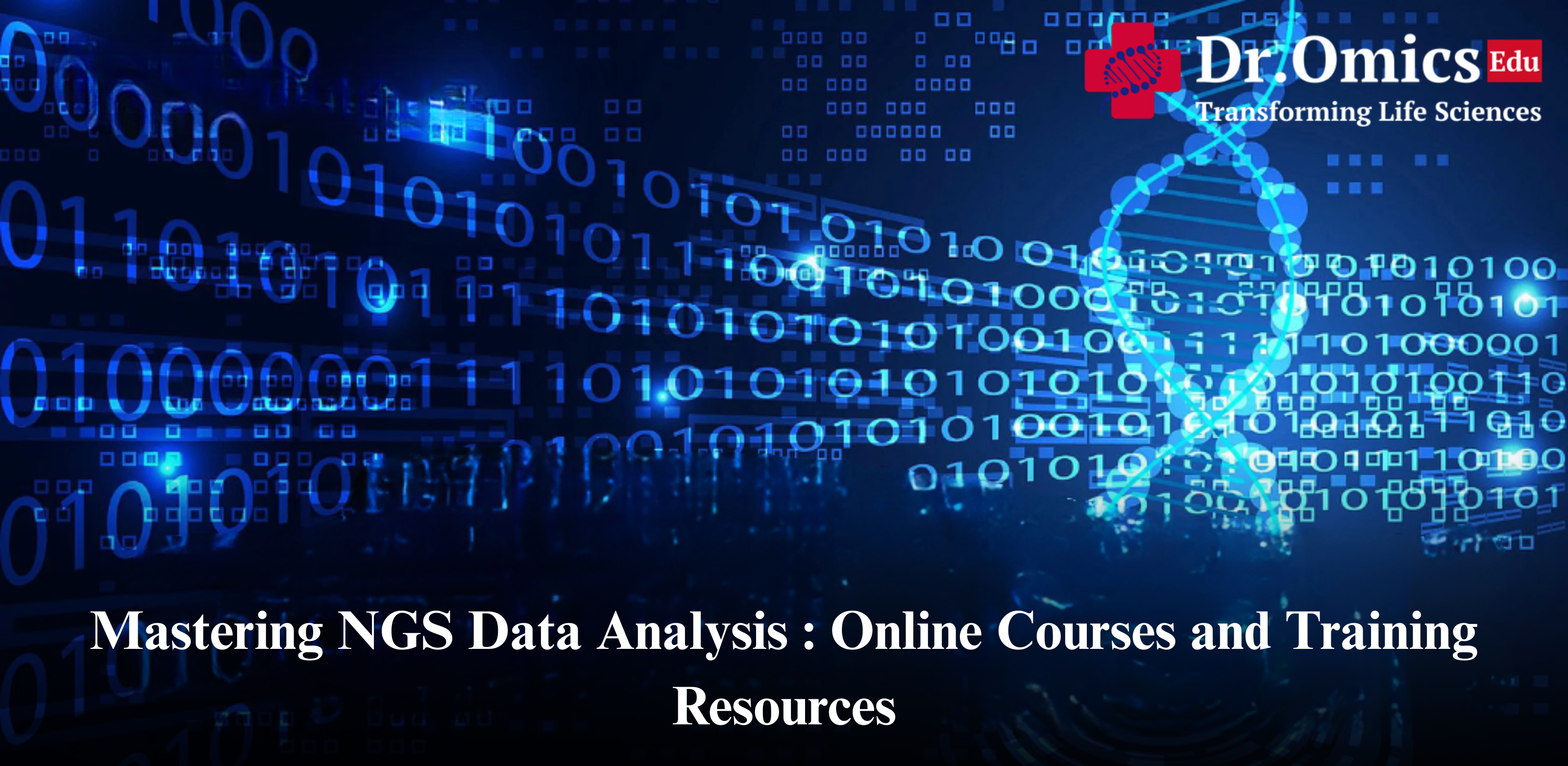 Mastering NGS Data Analysis: Online Courses and Training Resources