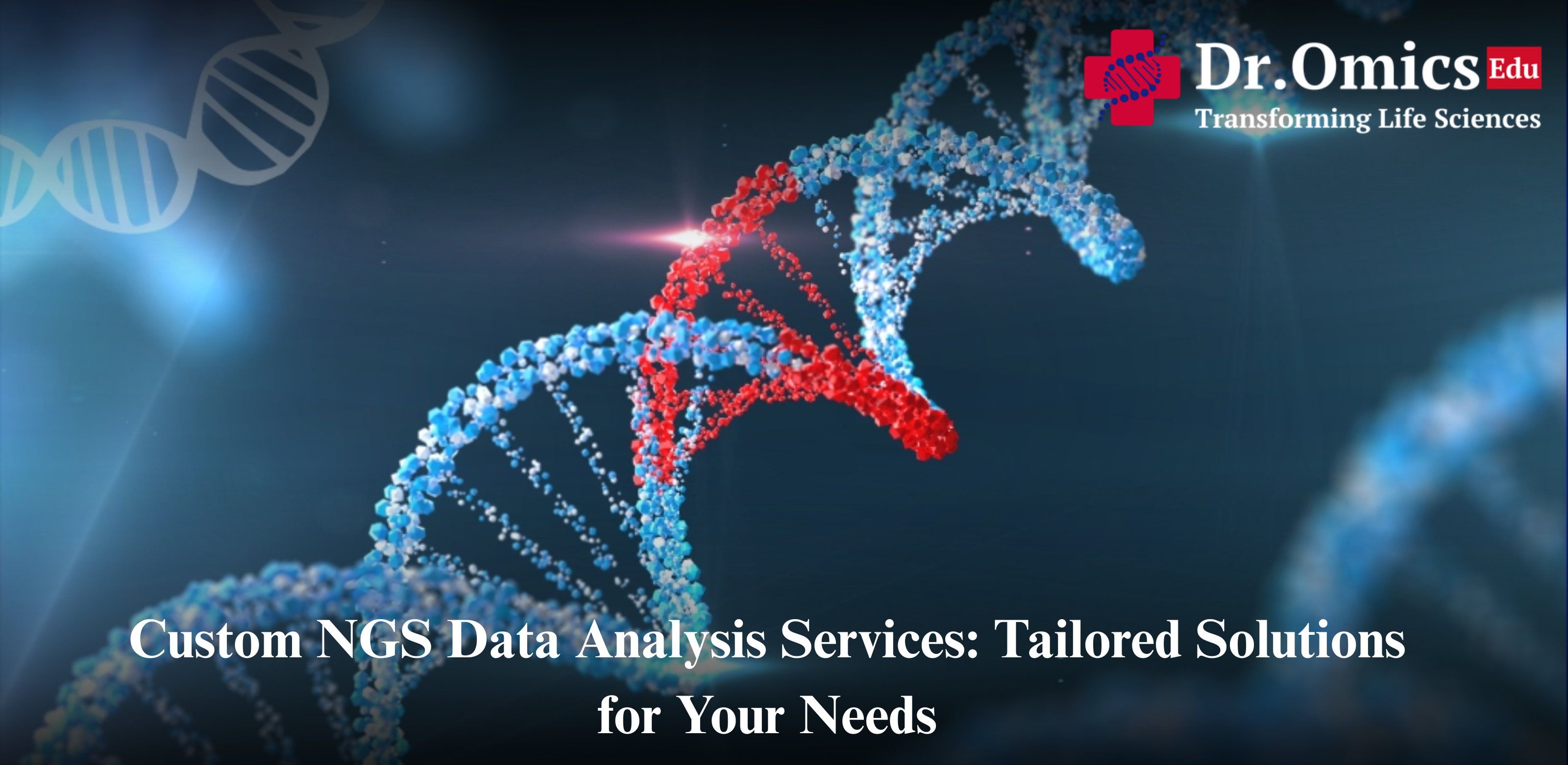 Custom NGS Data Analysis Services: Tailored Solutions for Your Needs