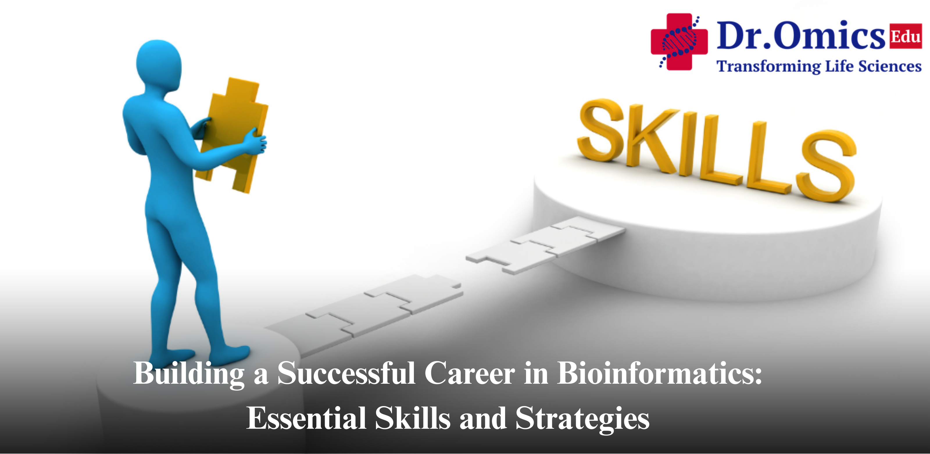Building a Successful Career in Bioinformatics: Essential Skills and Strategies
