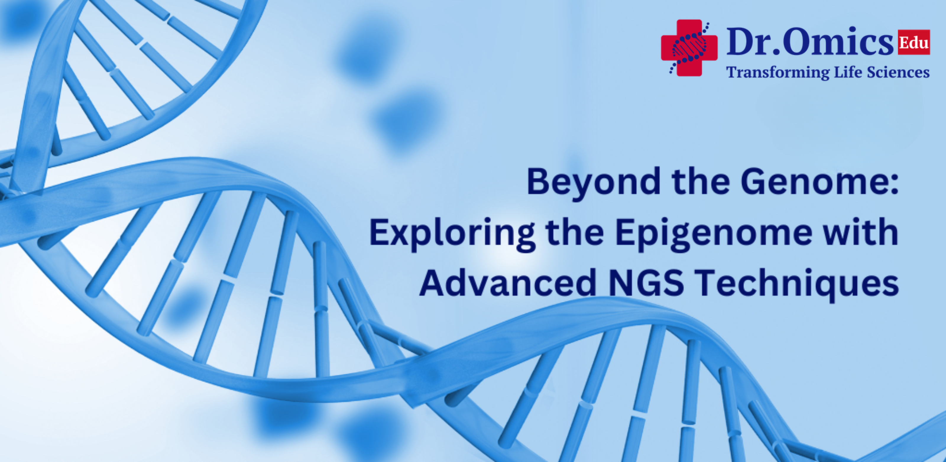 Beyond the Genome: Exploring the Epigenome with Advanced NGS Techniques