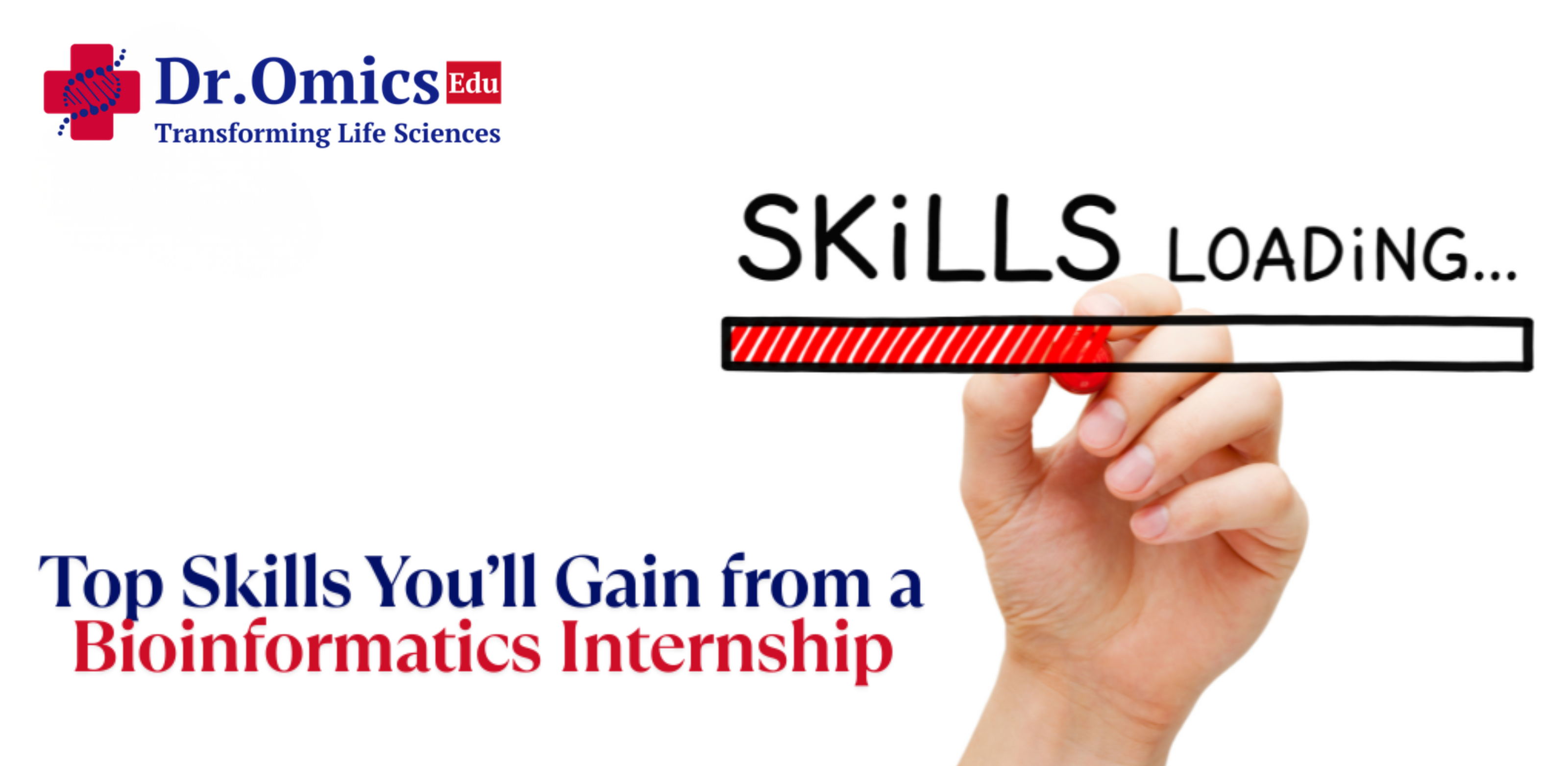 Top Skills You’ll Gain from a Bioinformatics Internship