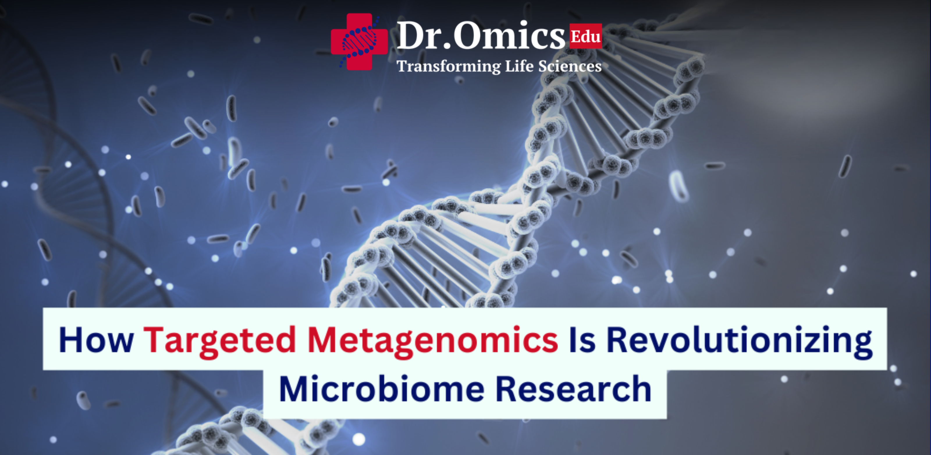 How Targeted Metagenomics Is Revolutionizing Microbiome Research