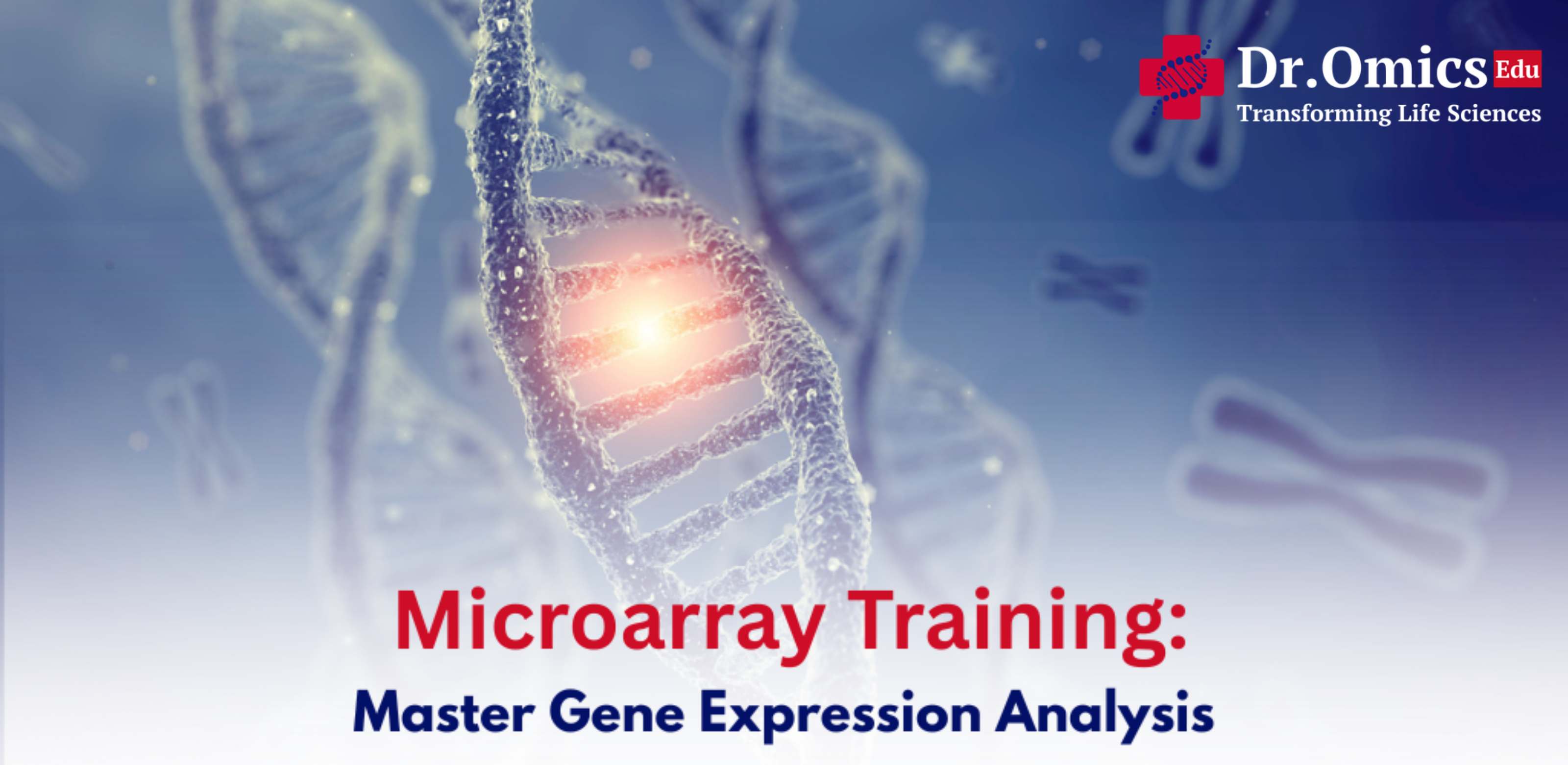 Microarray Training: Master Gene Expression Analysis
