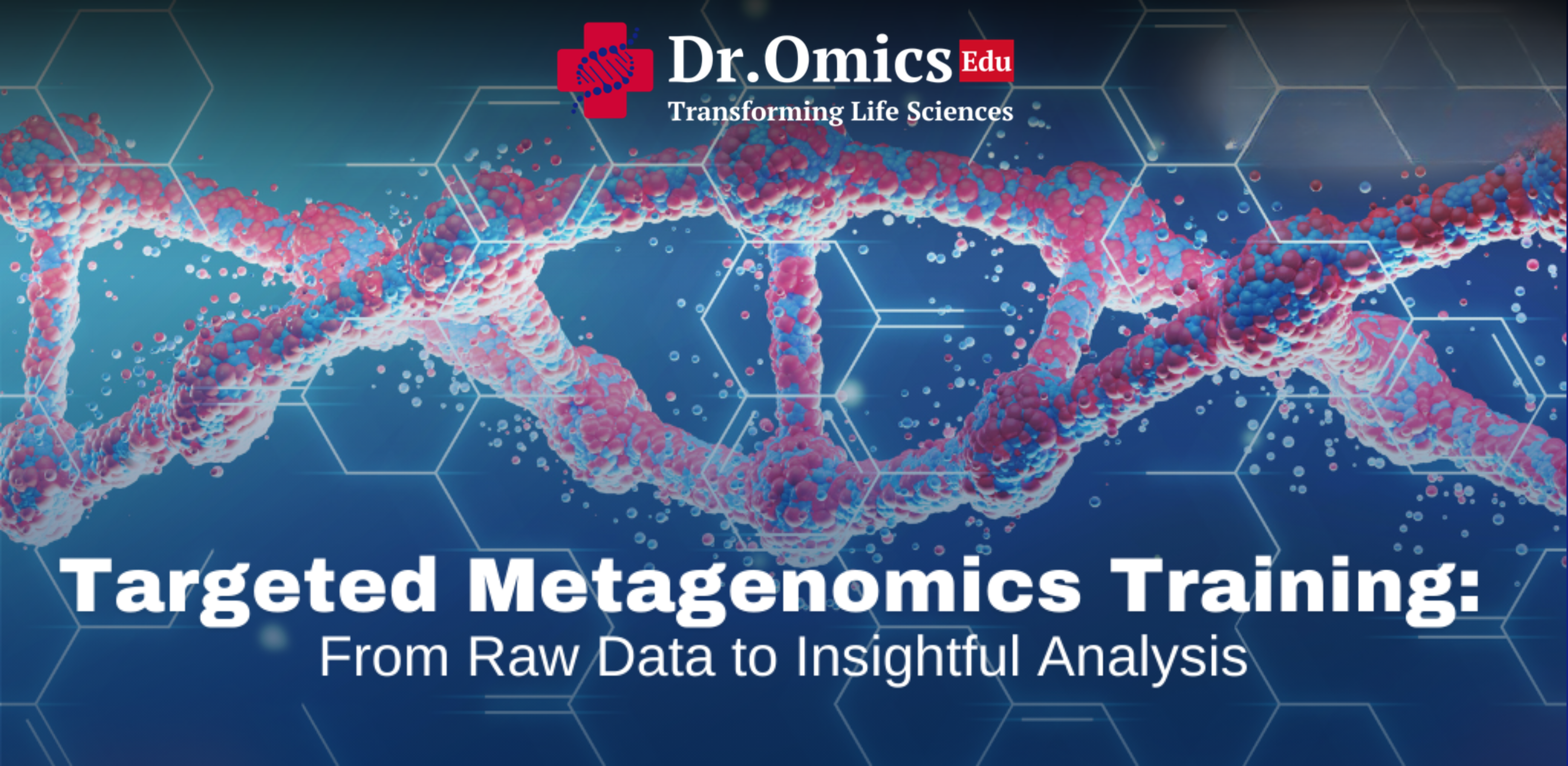 Targeted Metagenomics Training: From Raw Data to Insightful Analysis