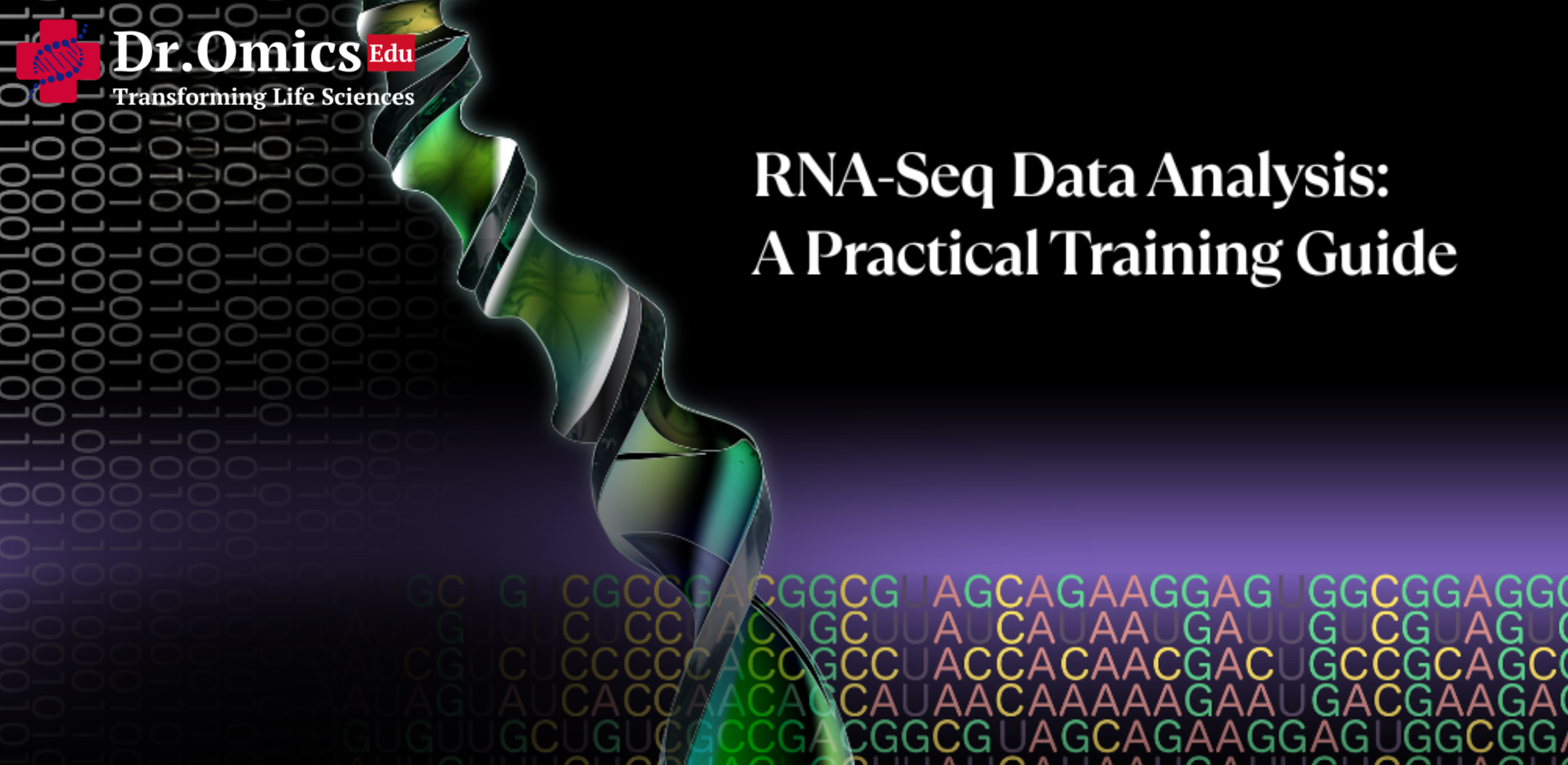 RNA-Seq Data Analysis: A Practical Training Guide