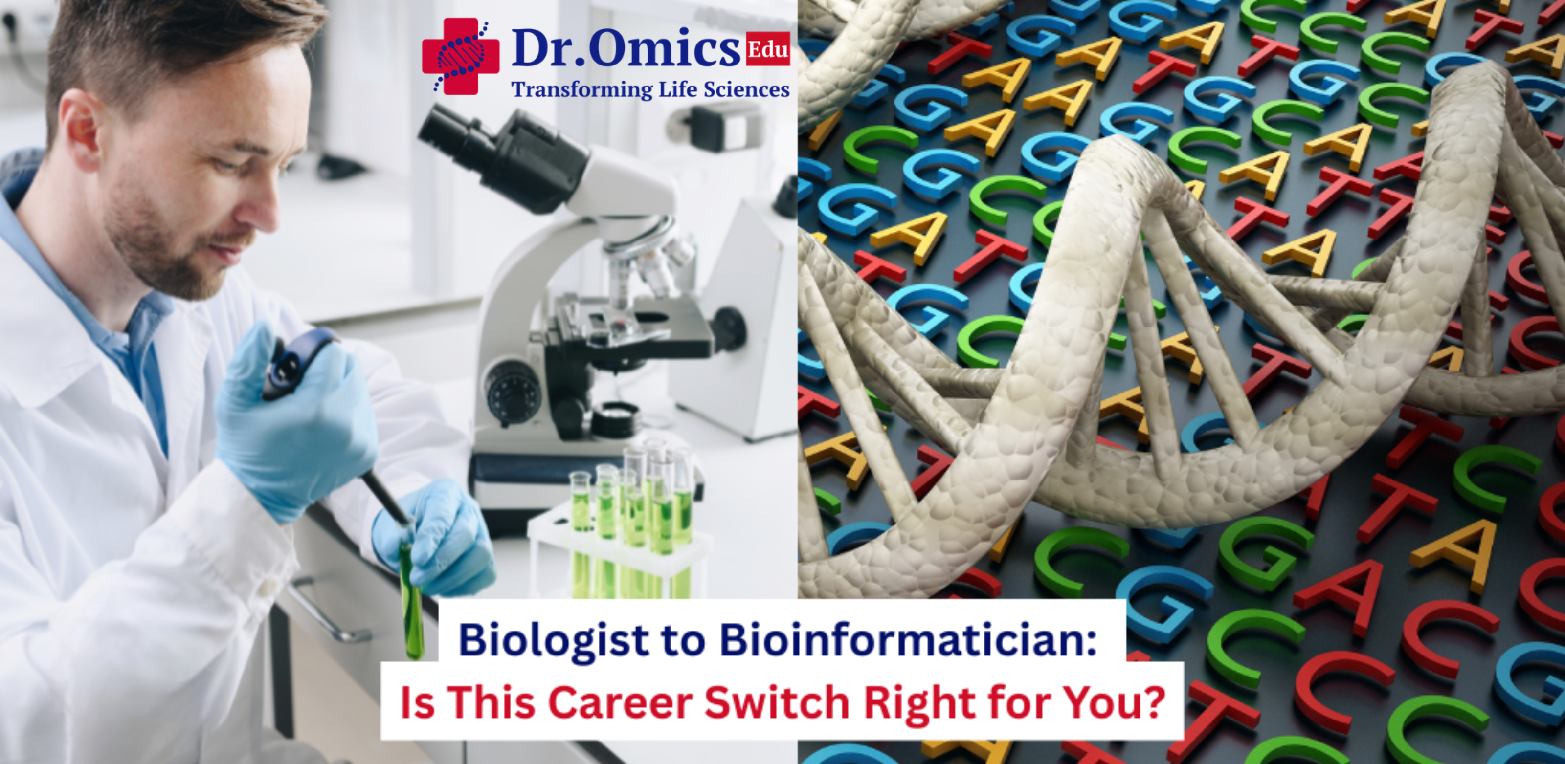 Biologist to Bioinformatician: Is This Career Switch Right for You?