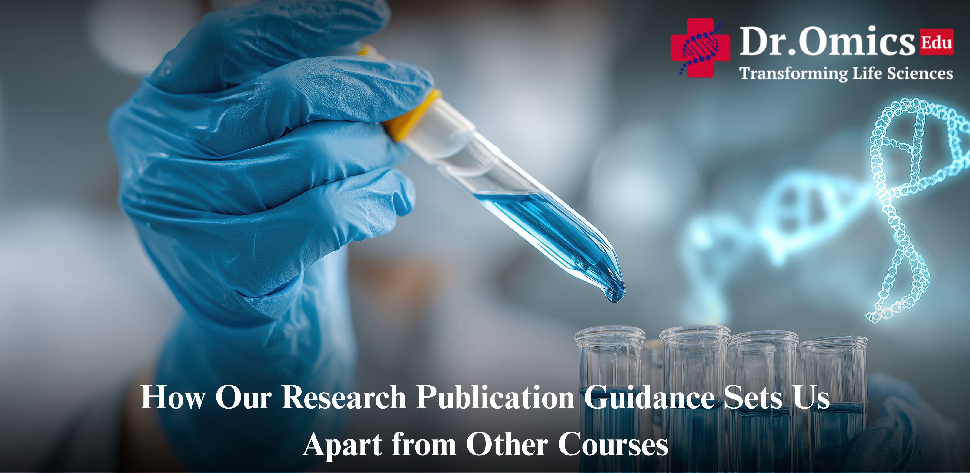 How Our Research Publication Guidance Sets Us Apart from Other Courses