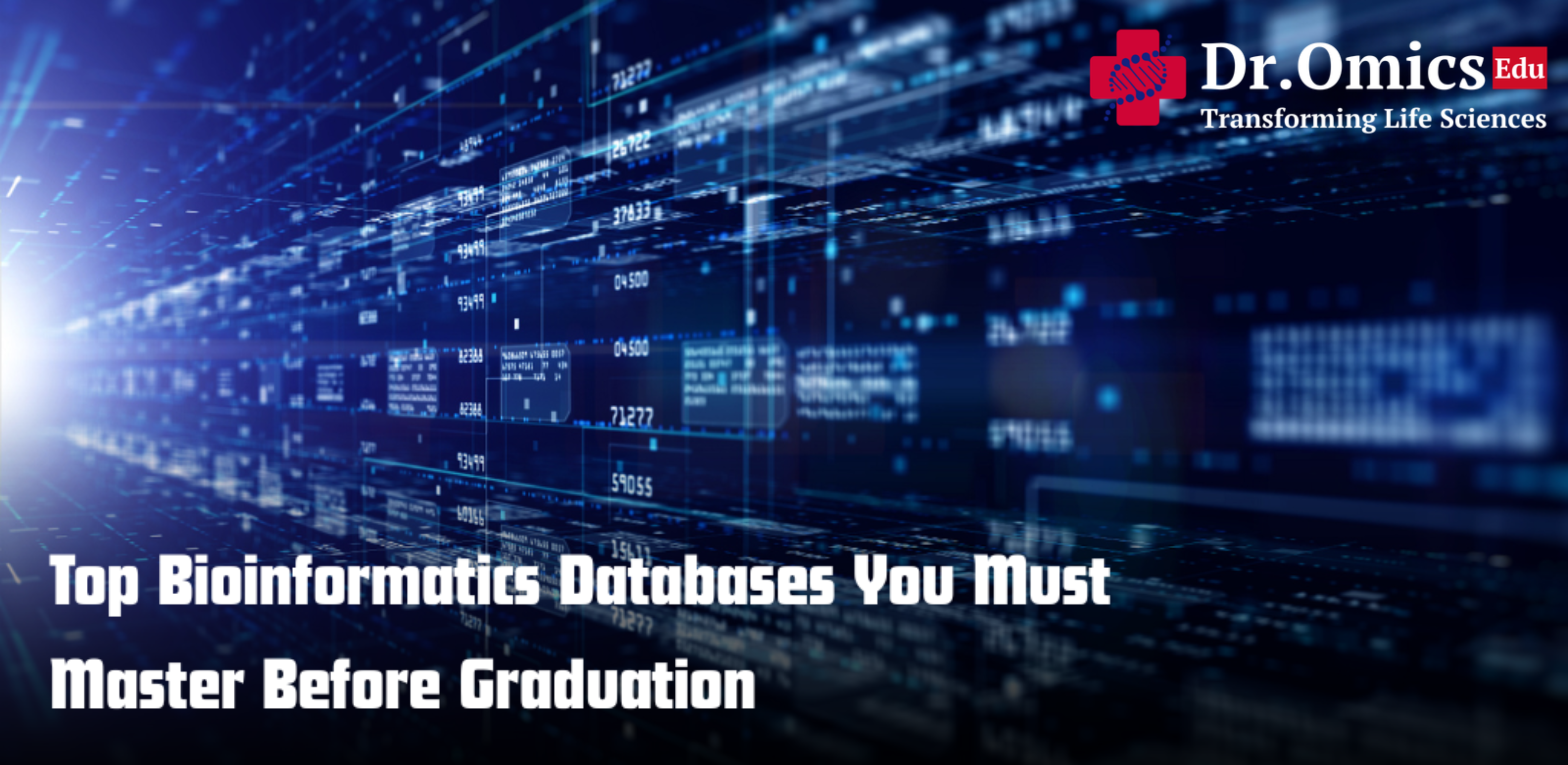 Top Bioinformatics Databases You Must Master Before Graduation