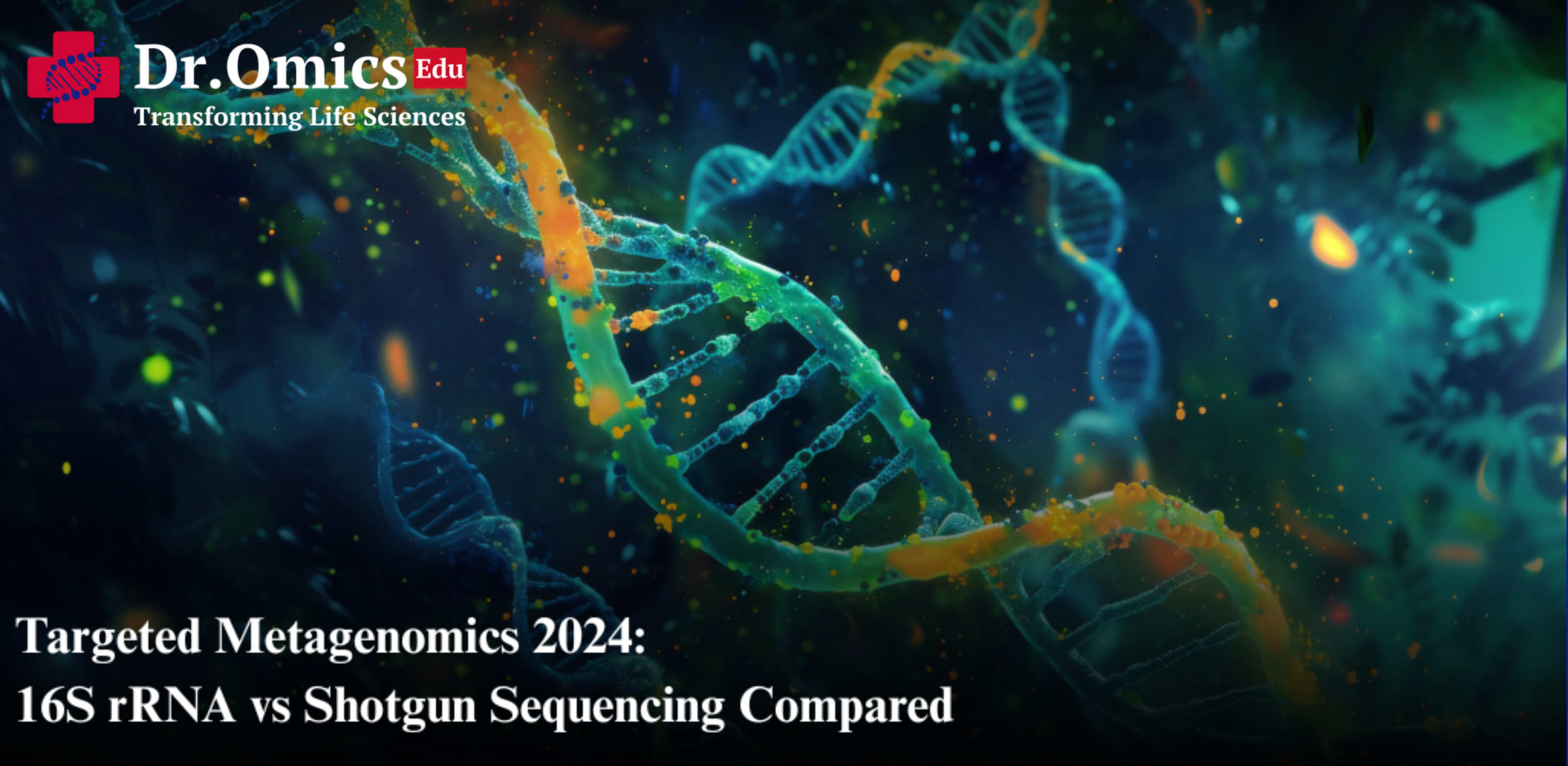 Targeted Metagenomics 2024: 16S rRNA vs Shotgun Sequencing Compared