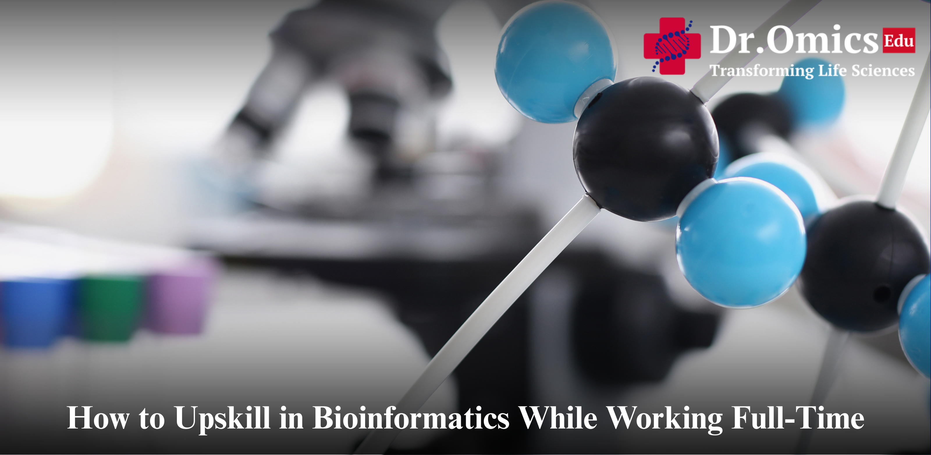 How to Upskill in Bioinformatics While Working Full-Time