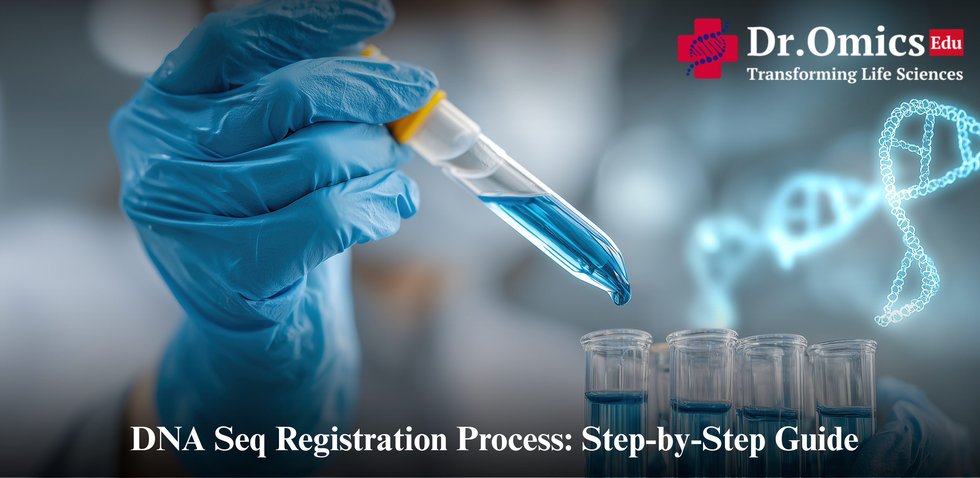 DNA Seq Registration Process: Step-by-Step Guide