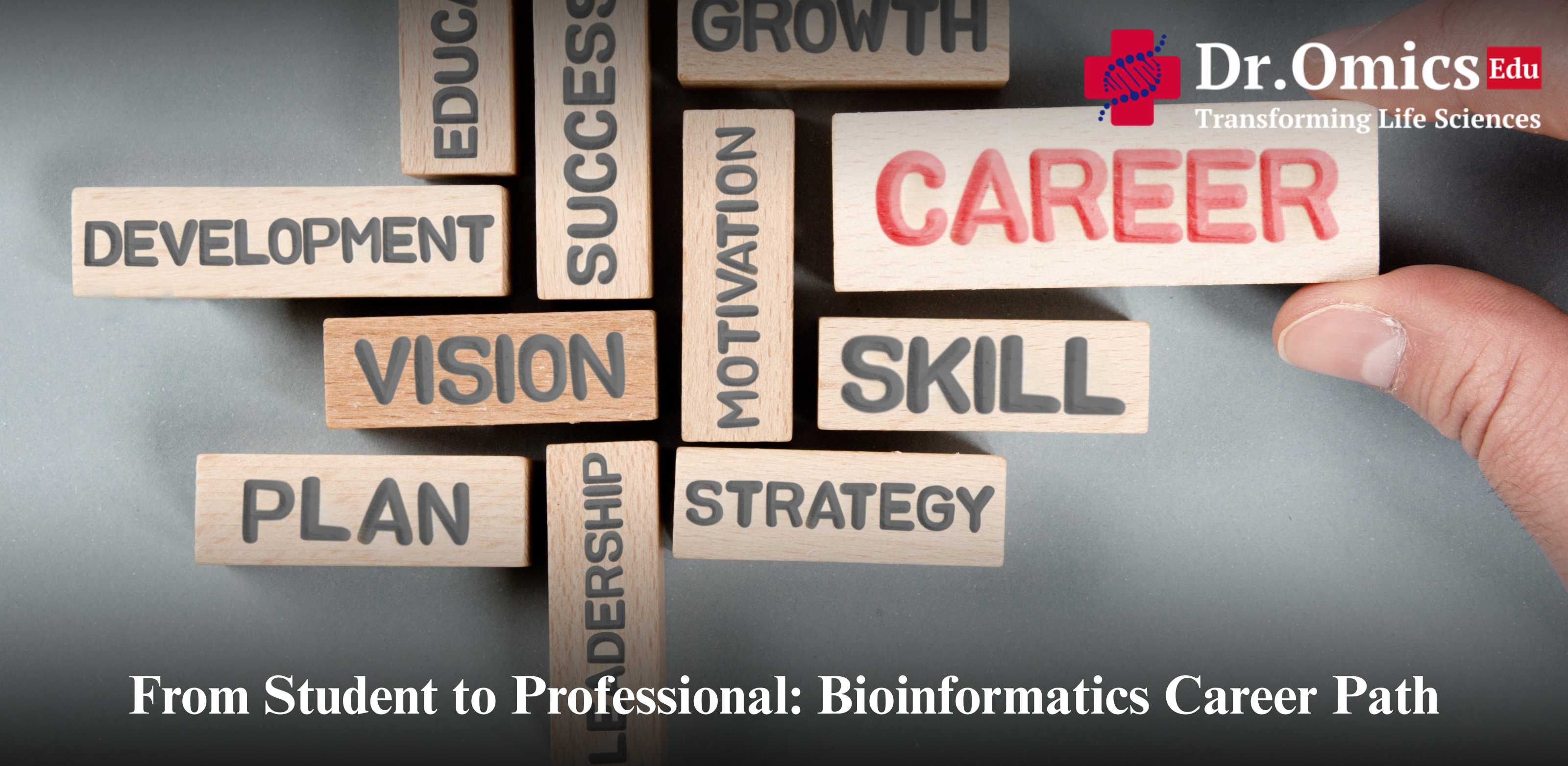 From Student to Professional: Bioinformatics Career Path
