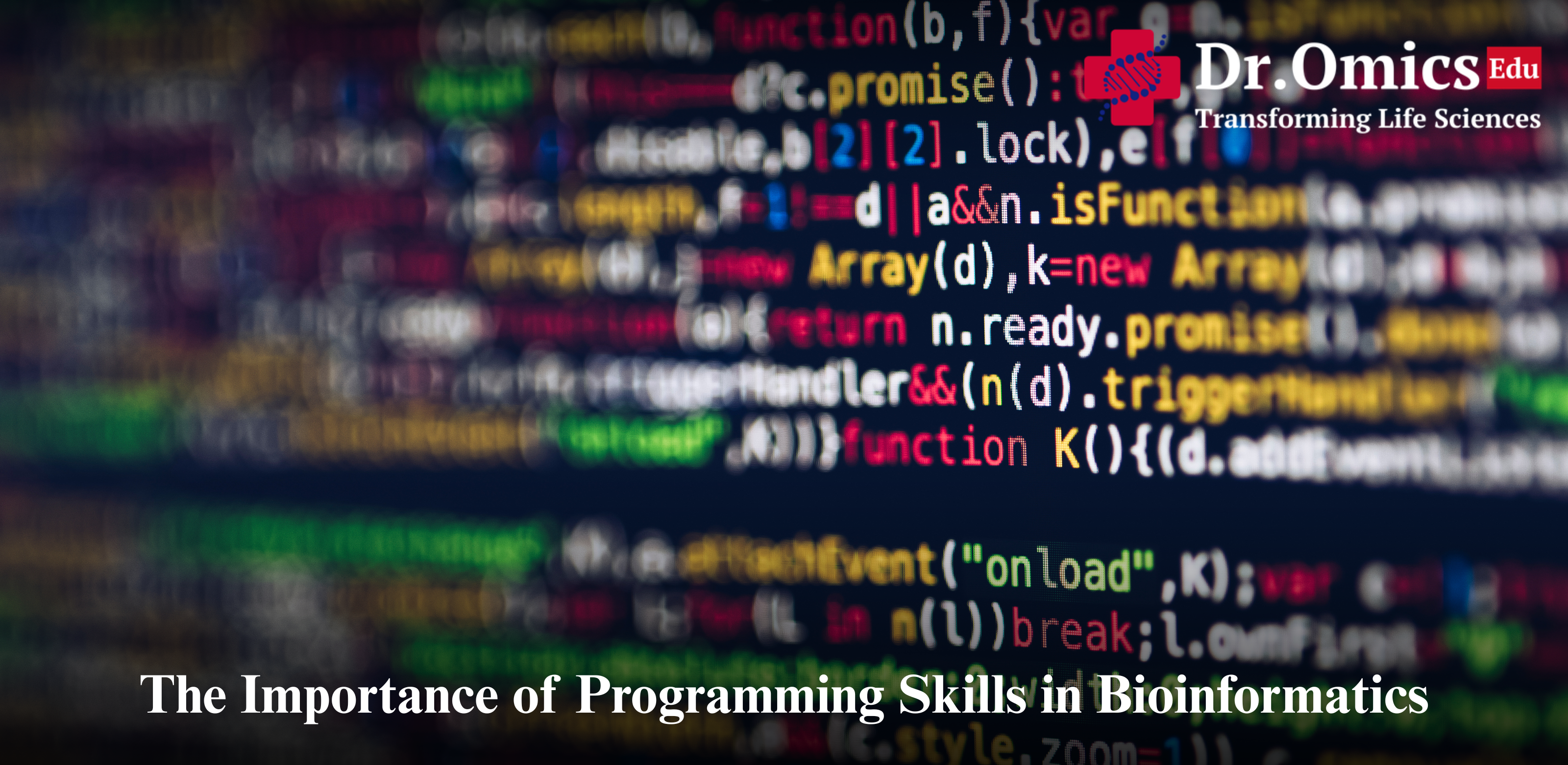 The Importance of Programming Skills in Bioinformatics