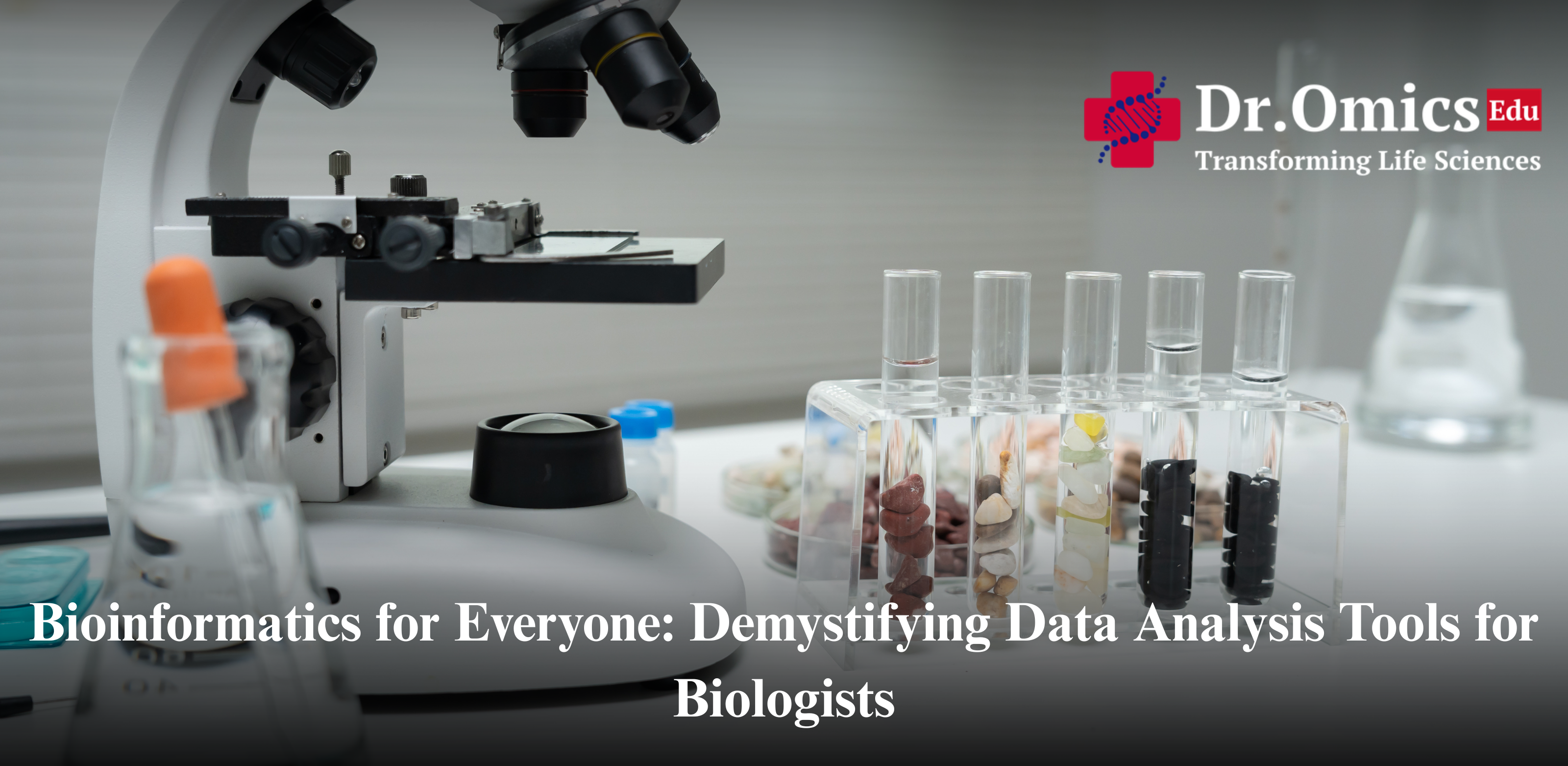 Bioinformatics for Everyone: Demystifying Data Analysis Tools for Biologists