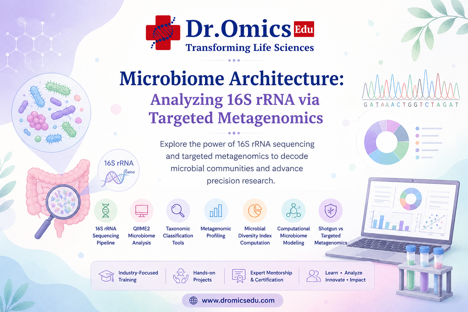 Microbiome Architecture: Analyzing 16S rRNA via Targeted Metagenomics