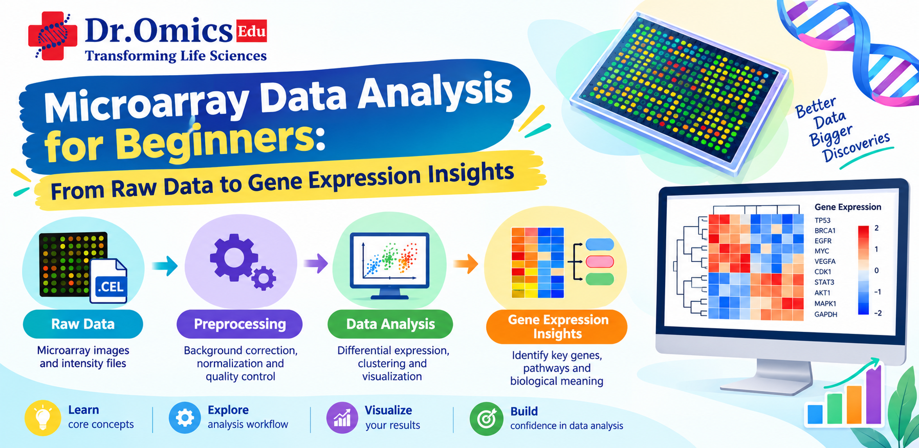Microarray Data Analysis for Beginners: From Raw Data to Gene Expression Insights