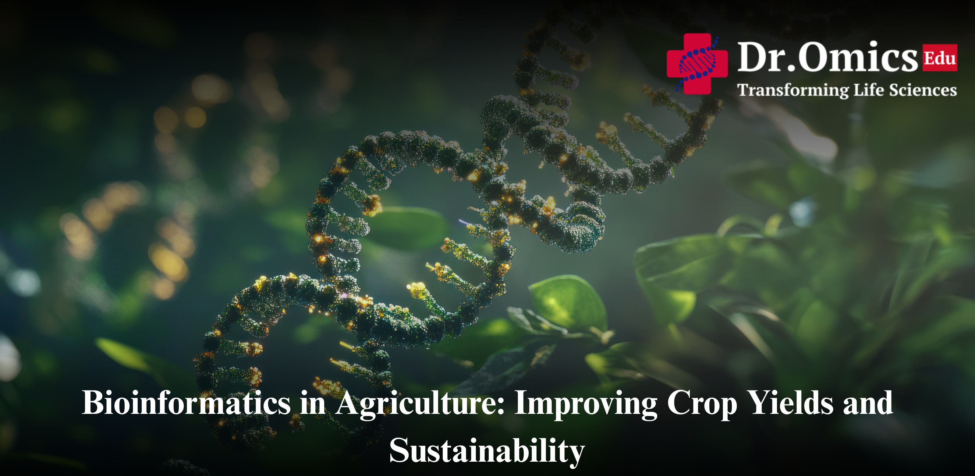 Bioinformatics in Agriculture: Improving Crop Yields and Sustainability