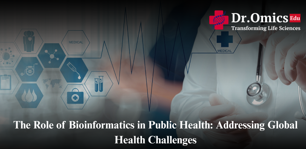 The Role of Bioinformatics in Public Health: Addressing Global Health Challenges