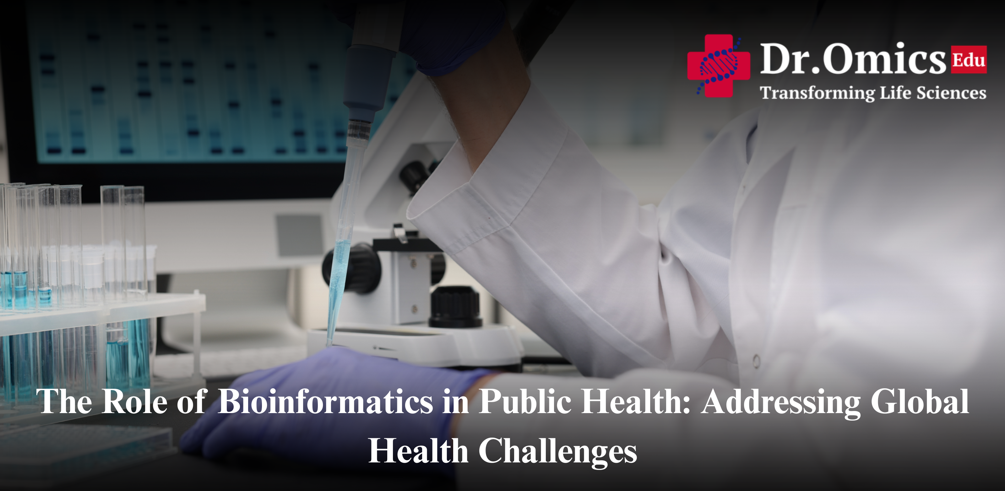 The Role of Bioinformatics in Public Health: Addressing Global Health Challenges