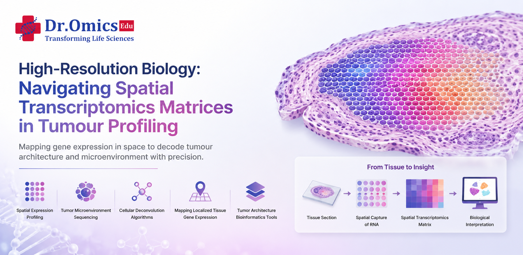 High-Resolution Biology: Navigating Spatial Transcriptomics Matrices in Tumour Profiling