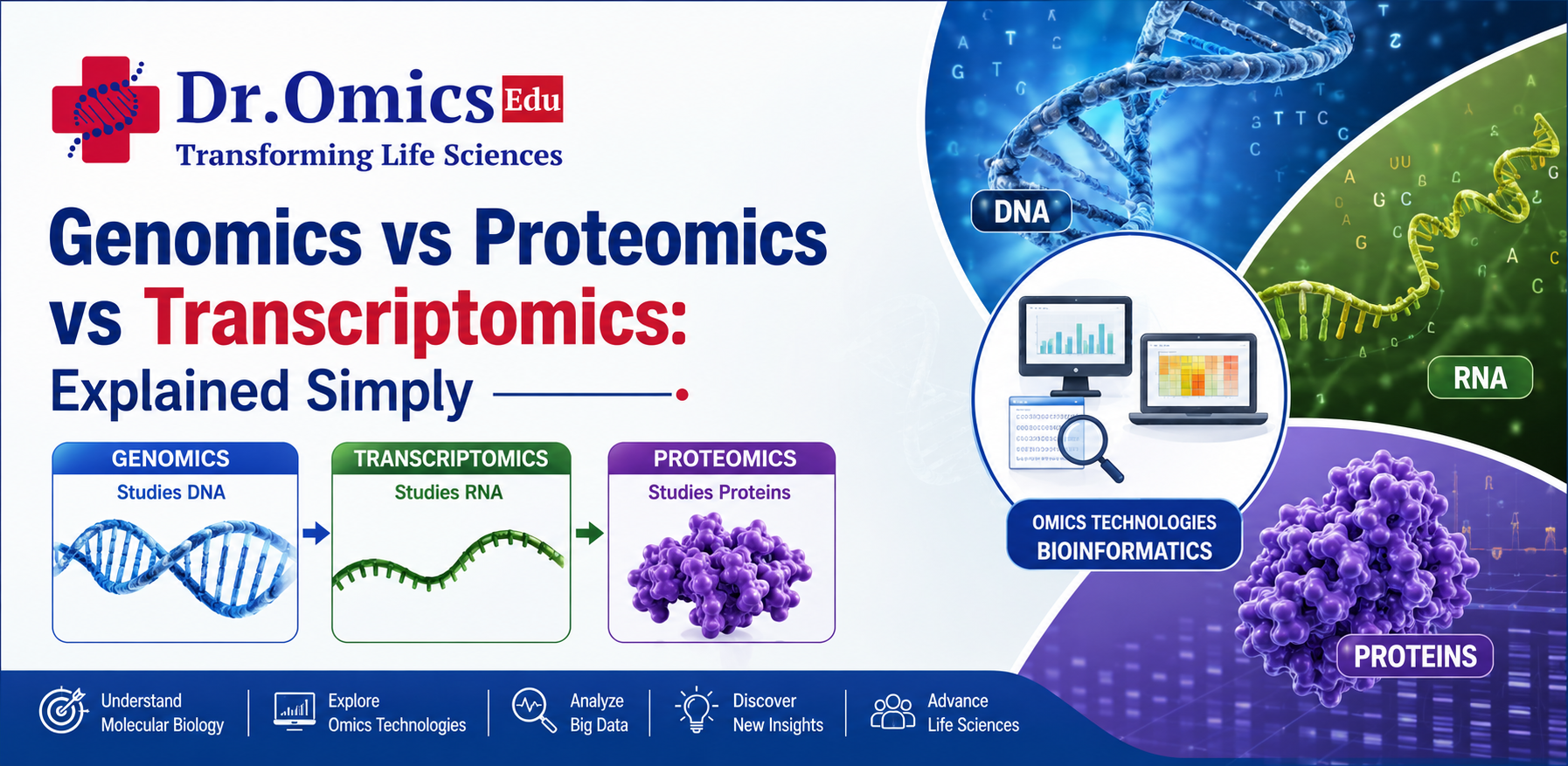 Genomics vs Proteomics vs Transcriptomics: Explained Simply