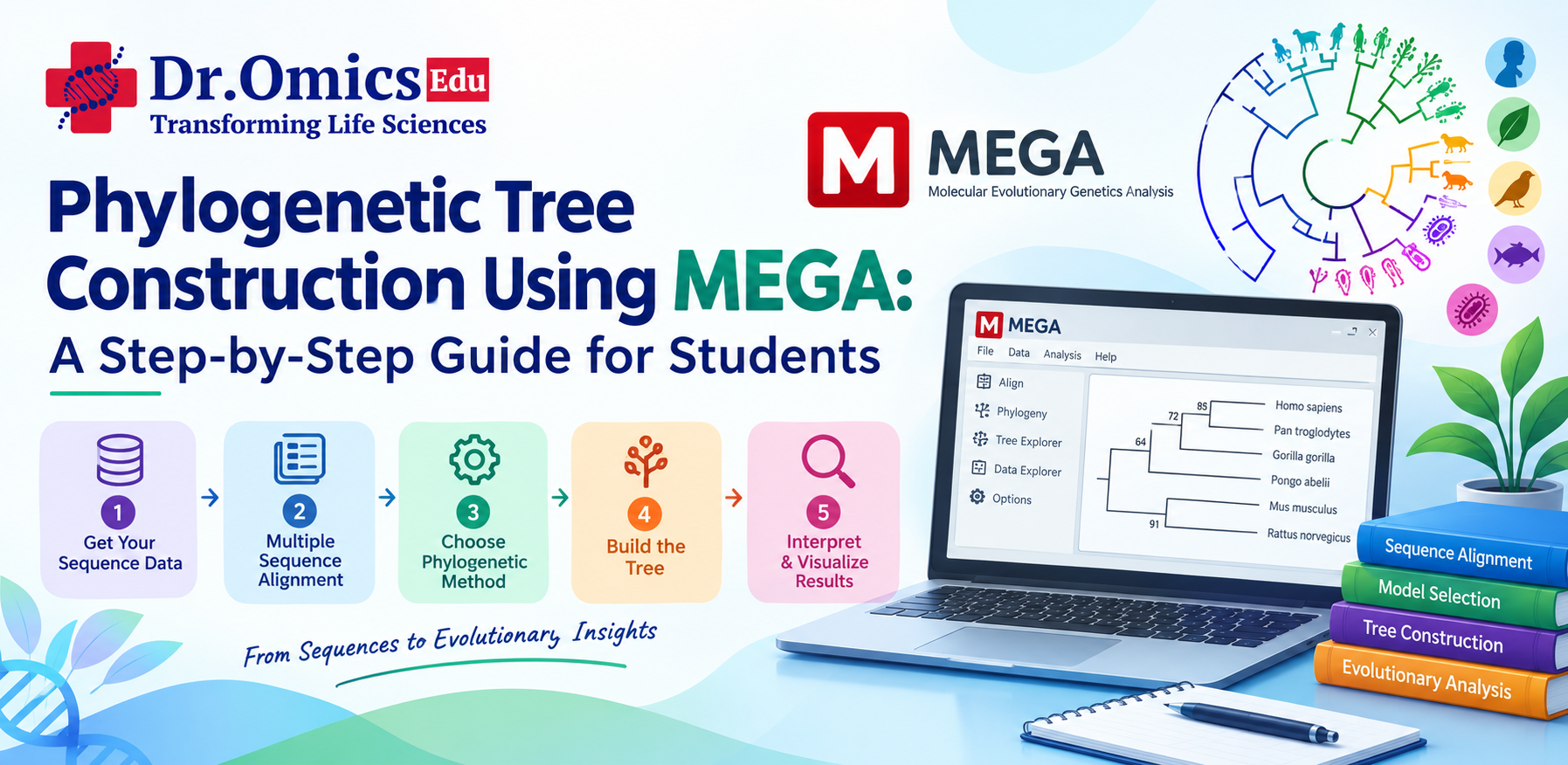Phylogenetic Tree Construction Using MEGA: A Step-by-Step Guide for Students