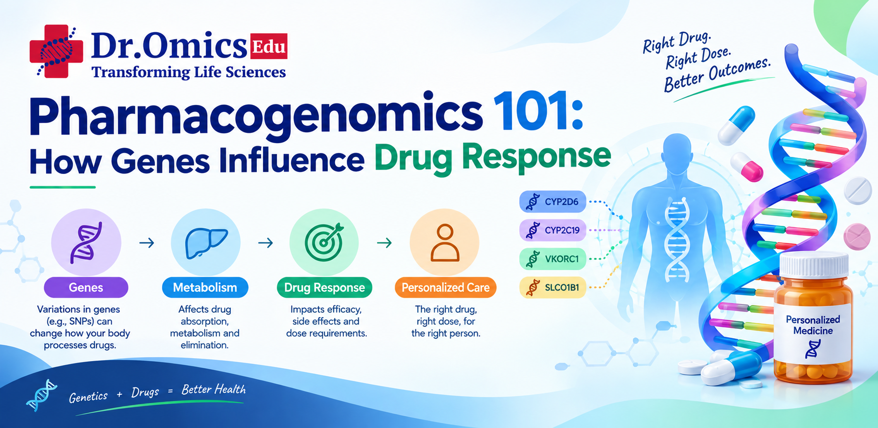 Pharmacogenomics 101: How Genes Influence Drug Response