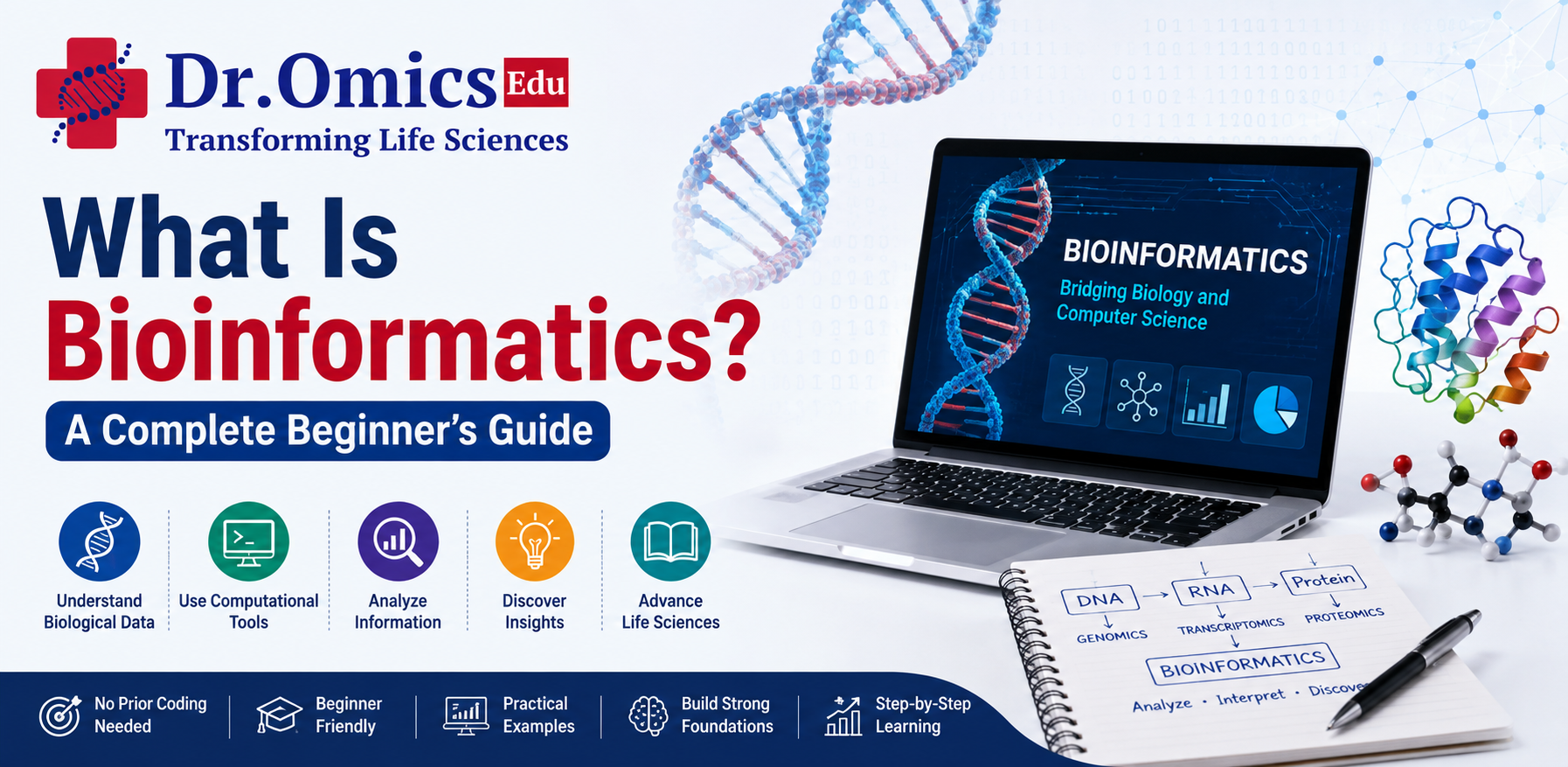 What Is Bioinformatics? A Complete Beginner’s Guide