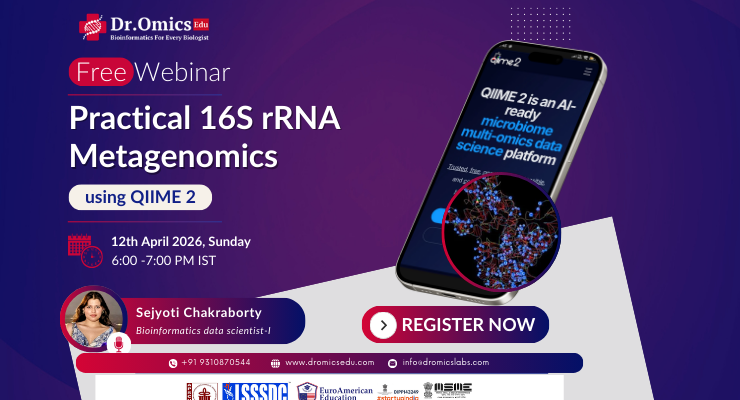 Practical 16S rRNA Metagenomics Using QIIME 2 (V3–V4 Workflow)