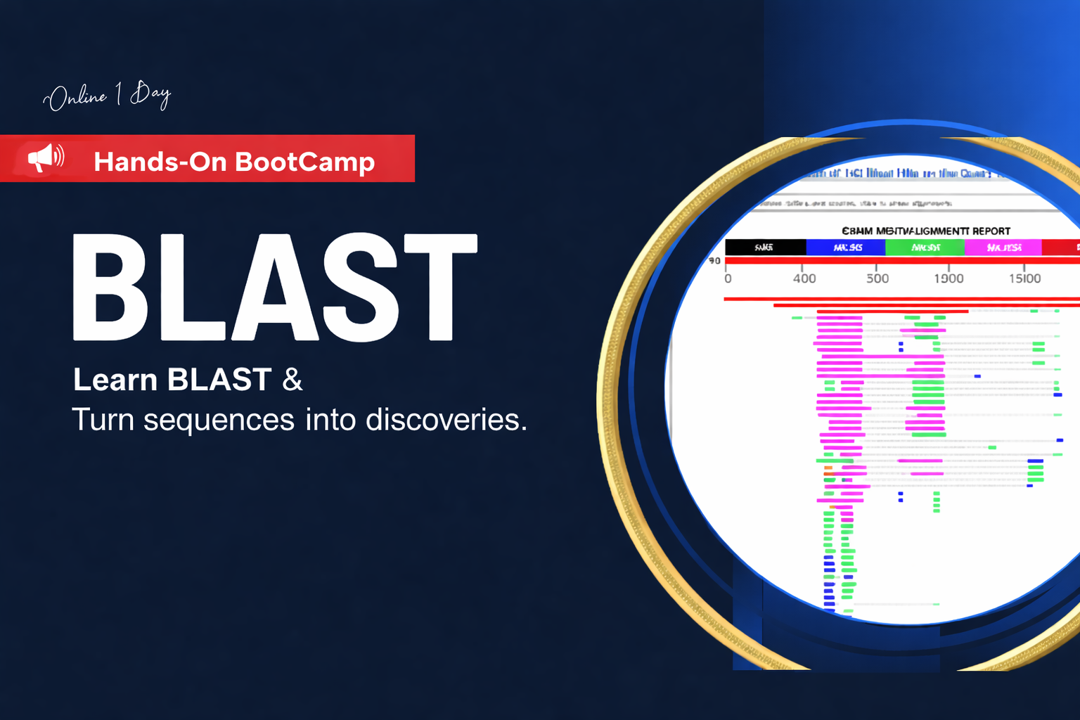 Blast Hands-on Boot Camp