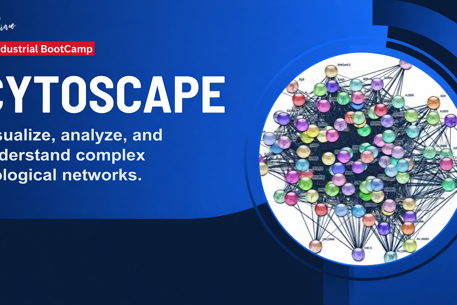 Cytoscape Hands-On Bootcamp