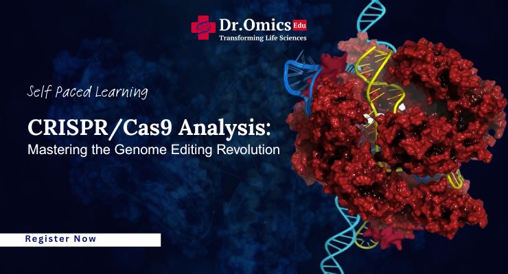 CRISPR/Cas9 Analysis: Mastering the Genome Editing Revolution
