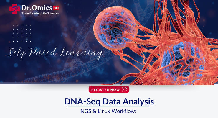 NGS & Linux Workflow: DNA-Seq Data Analysis - recorded course