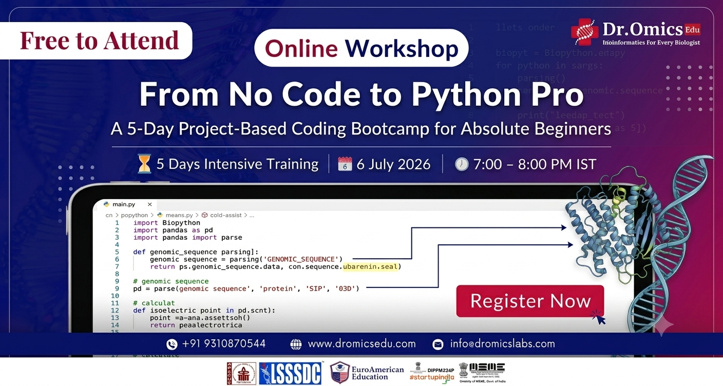 From No Code to Python Pro: A Beginner's Workshop