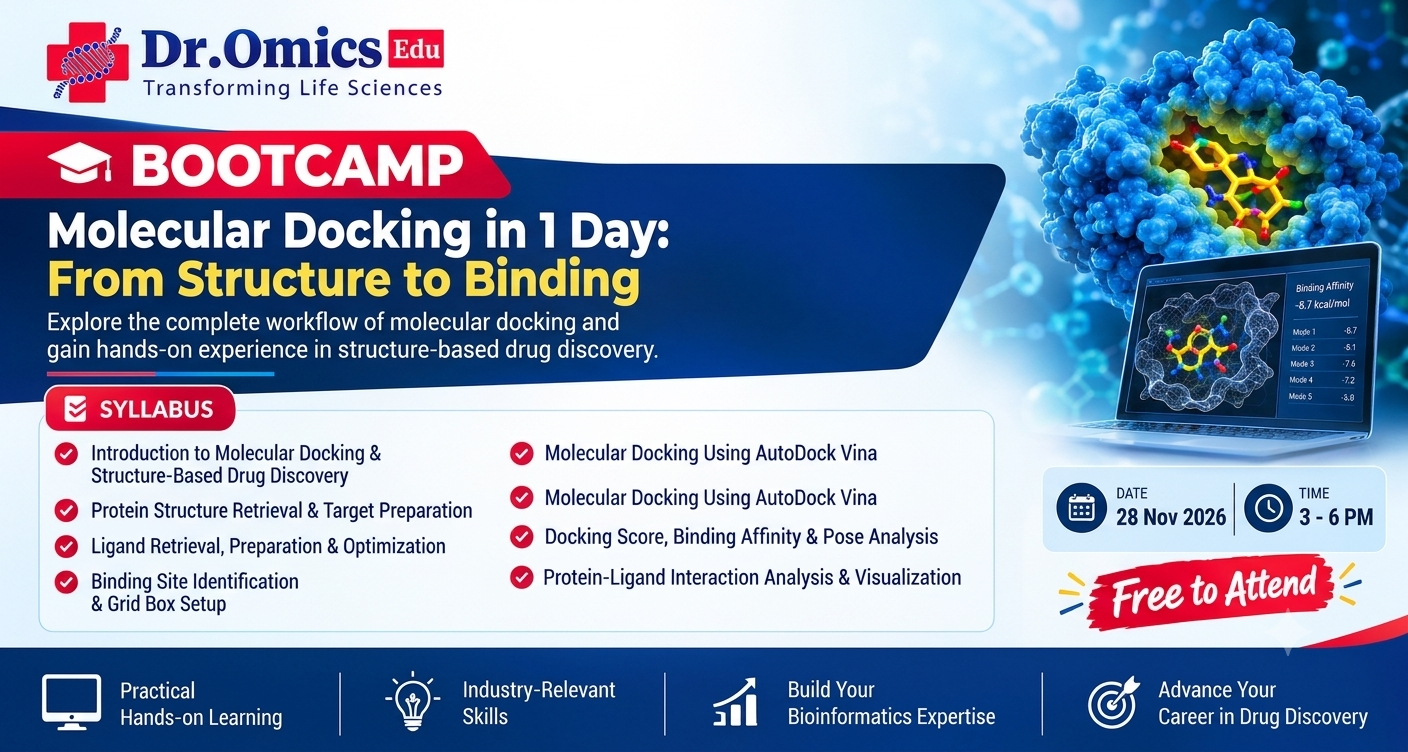 Molecular Docking in 1 Day: From Structure to Binding