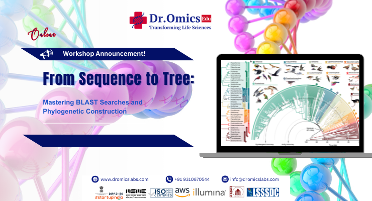 From Sequence Analysis to Phylogenetic Mastery