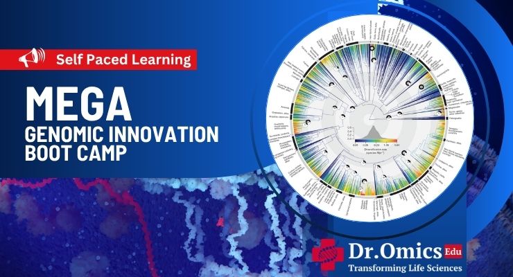 MEGA Genomic Innovation Boot Camp