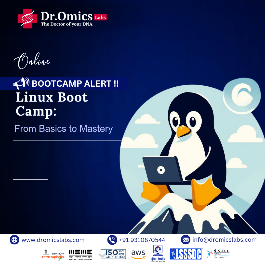 Linux Boot Camp: From Basics to Mastery