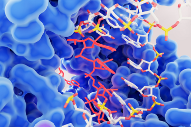 ADMET & Pharmacokinetic Analysis