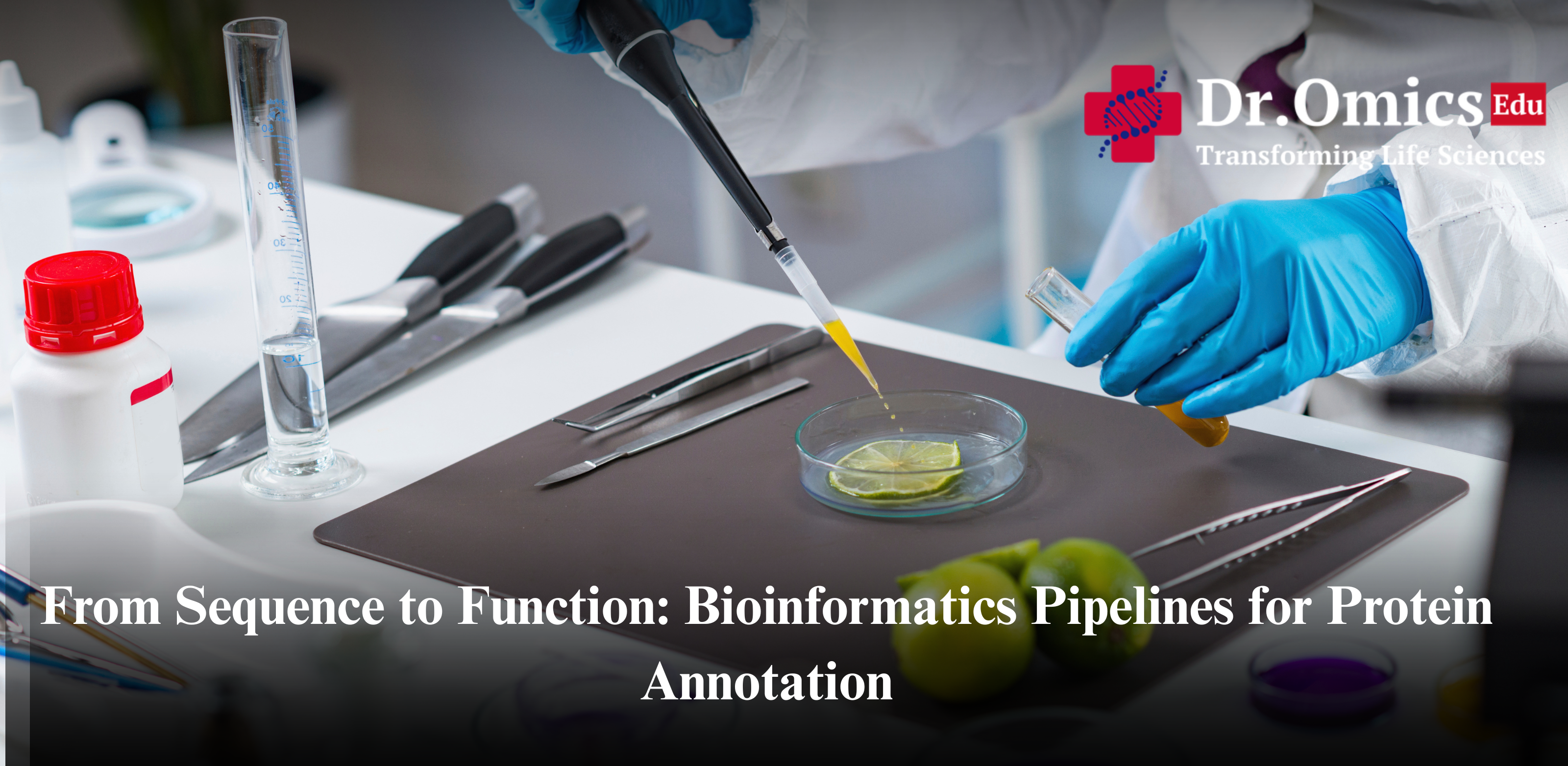 From Sequence to Function: Bioinformatics Pipelines for Protein Annotation