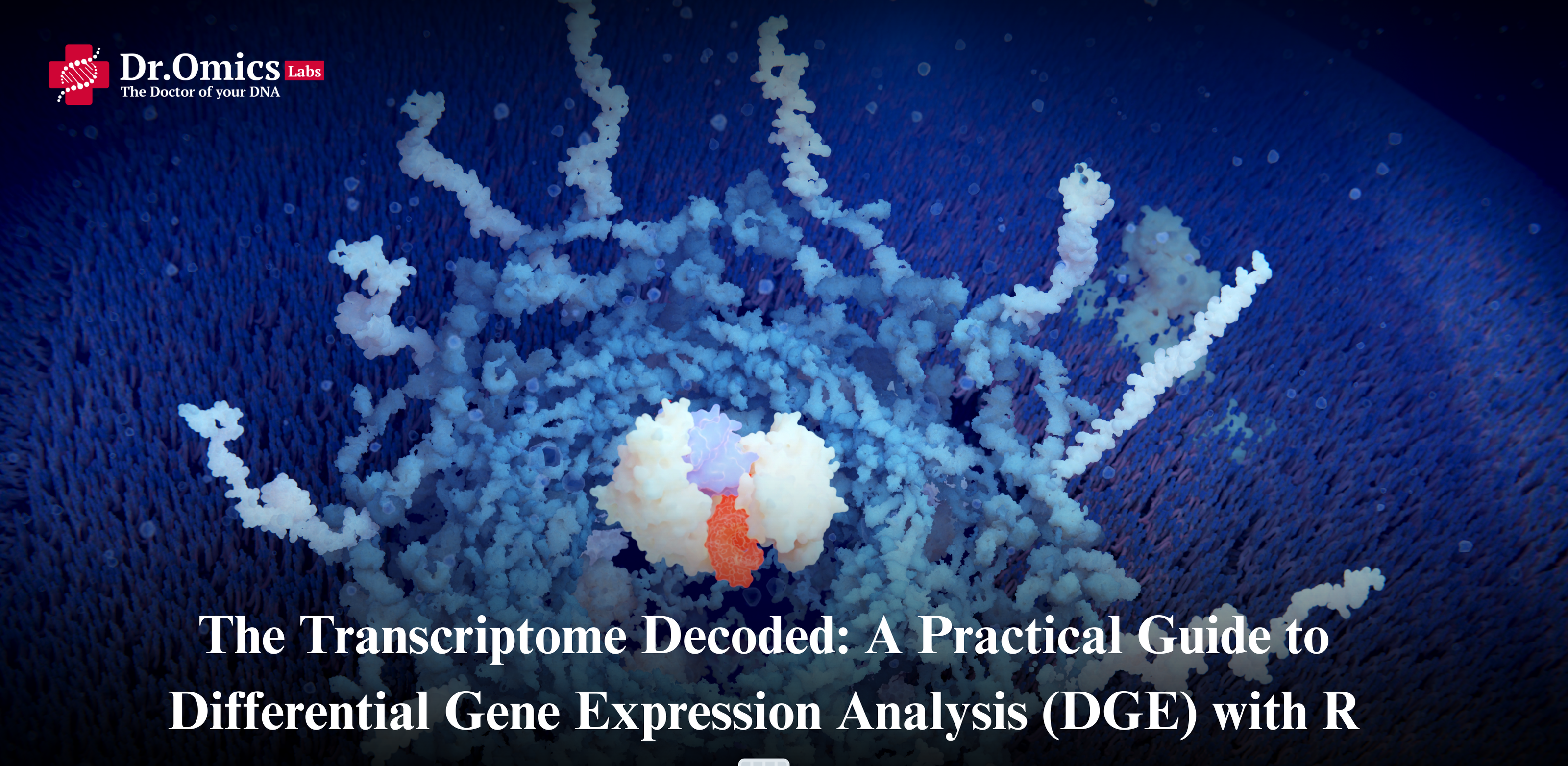 The Transcriptome Decoded: A Practical Guide to Differential Gene Expression Analysis (DGE) with R